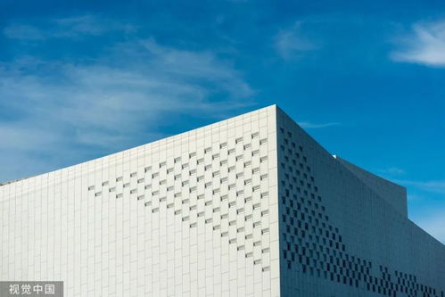 8萬元深圳3日游？網(wǎng)友調(diào)侃 努力一把，9萬元回家