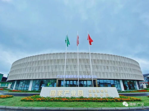 天府糧倉連山鎮(zhèn) 建筑裝飾業(yè)的匠心與傳承